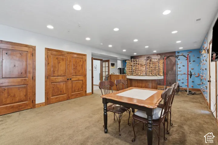 Recessed lighting, wood-finish doors, carpeted flooring, and a built-in climbing wall feature