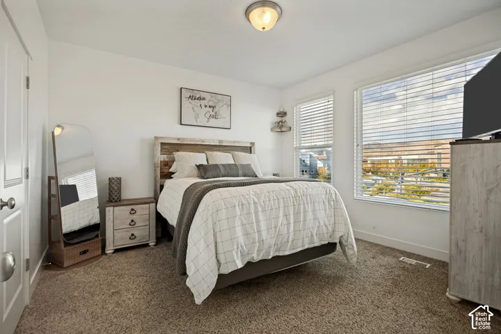 Neutral-toned carpeting, two windows with blinds, a white door with brushed nickel hardware, and a ceiling-mounted light fixture