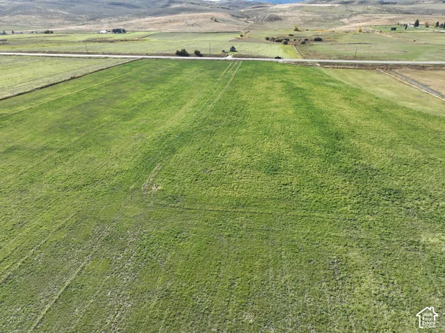 Expansive green field with distant hills and a paved road