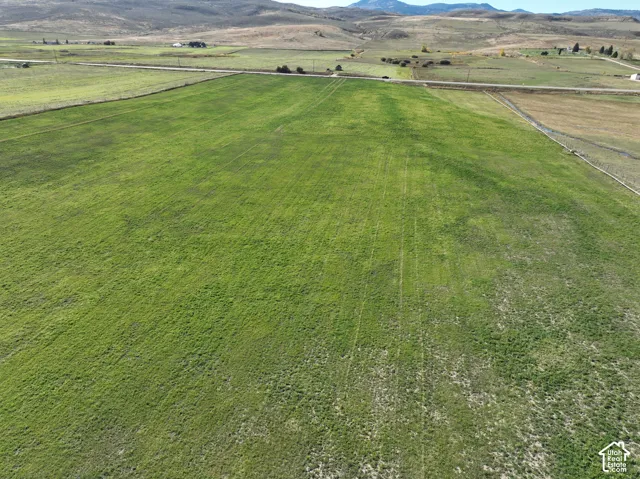 Expansive open land with green pasture and distant mountainous terrain