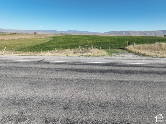 Expansive green field with distant mountain range and clear blue sky