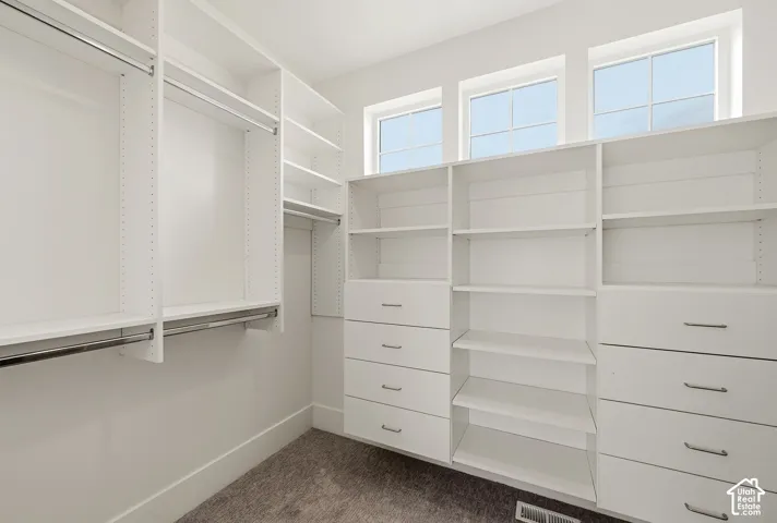 Primary suite closet with built in shelving and drawers