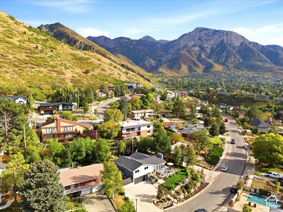Mountainous landscape with residential properties, winding roads, and mature trees