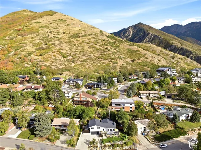 Houses nestled among mature trees, with paved roads and mountainous terrain