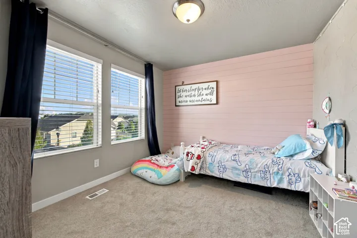 Bedroom 3 - Two large windows with blinds, light-colored carpet, and a flush-mount ceiling light fixture