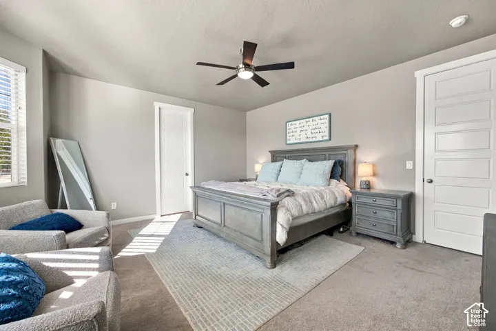 Primary - Carpeted room with a ceiling fan, white paneled doors, and a window with blinds