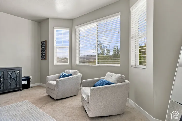 Primary - Carpeted flooring, multiple windows with blinds, and light-toned walls