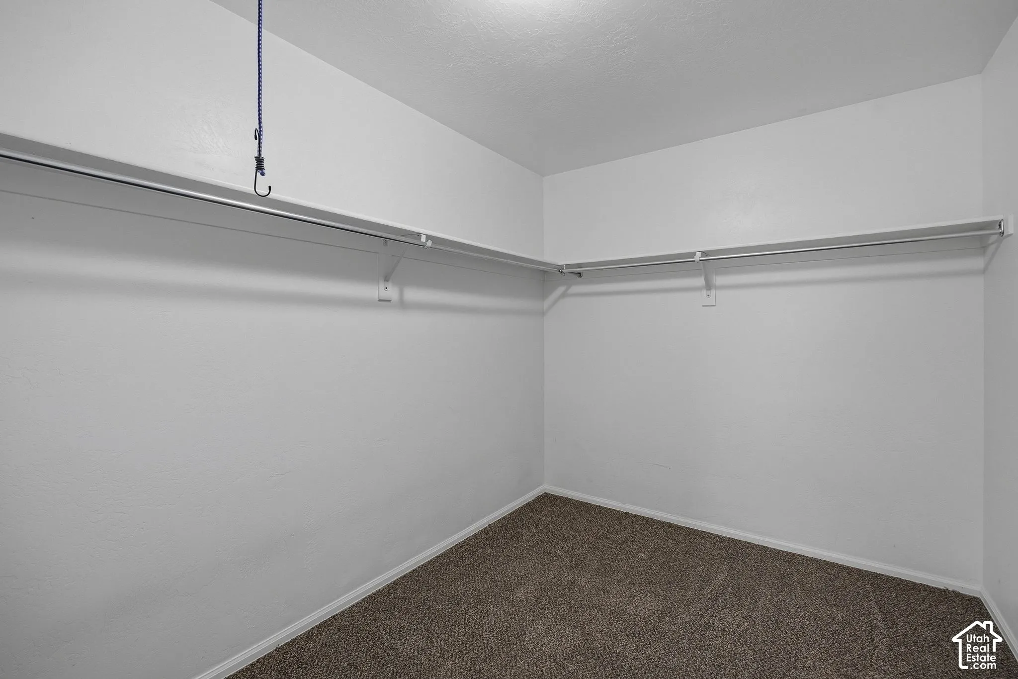 Primary walk in closet.wall-mounted shelving, and carpet flooring