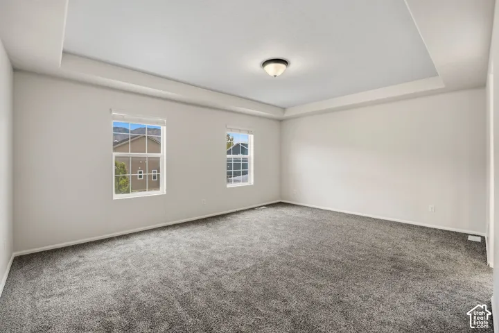 Primary bedroom featuring tray ceiling with a flush-mount light fixture, two windows with blinds, and neutral-toned carpeting