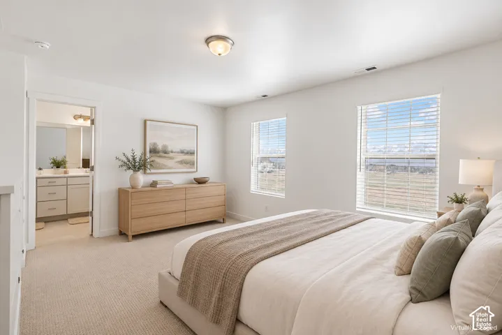 Carpeted interior with white walls, two windows, and a ceiling-mounted light fixture