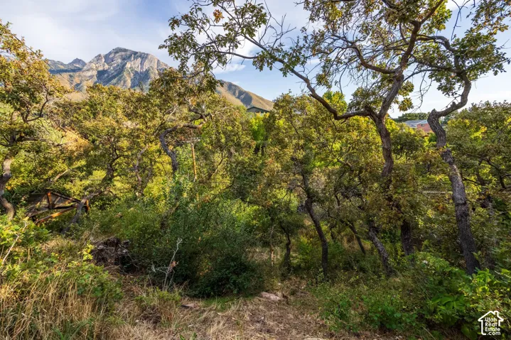 3000 E Morgan Dr, Holladay, Utah 84124