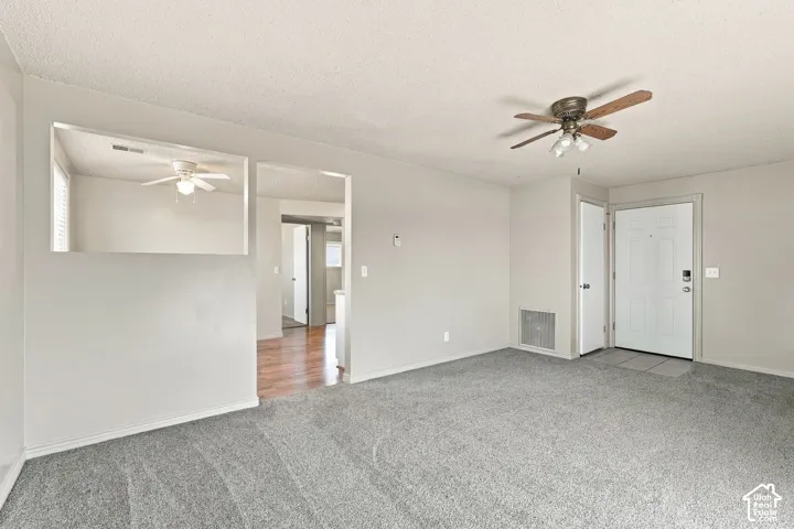 carpeted family room larea with light gray walls
