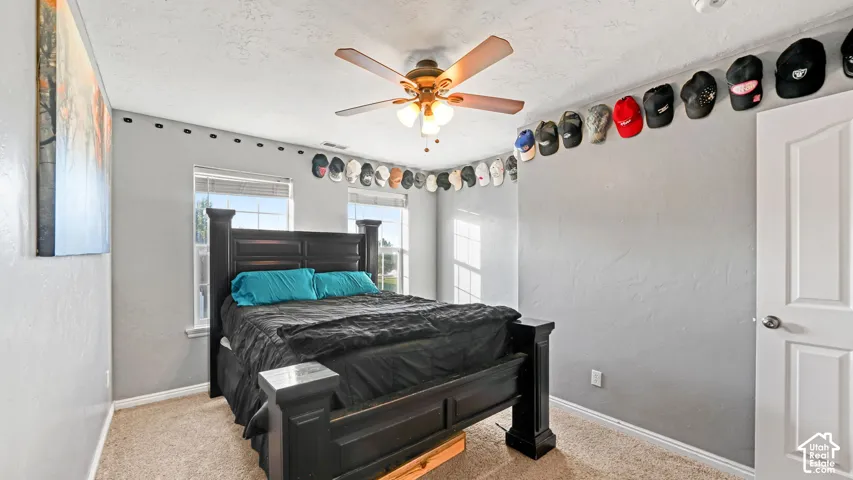 Spacious bedroom featuring a ceiling fan with integrated lighting, neutral gray walls, carpeted flooring, mirrored closet doors, and large windows providing natural light