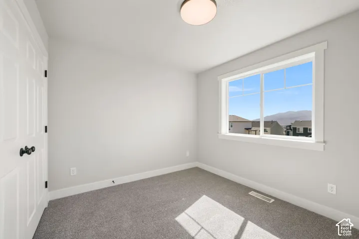 Neutral wall paint, gray carpeting, white trim, and a contemporary flush-mount ceiling light