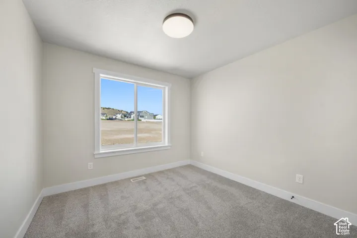 Plush gray carpeting, white painted walls, white trim, and a flush-mount ceiling light fixture