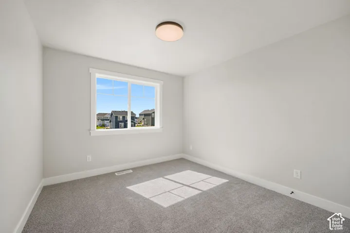 Neutral gray wall paint, gray carpeting, white window trim, white baseboards, and a flush-mount ceiling light