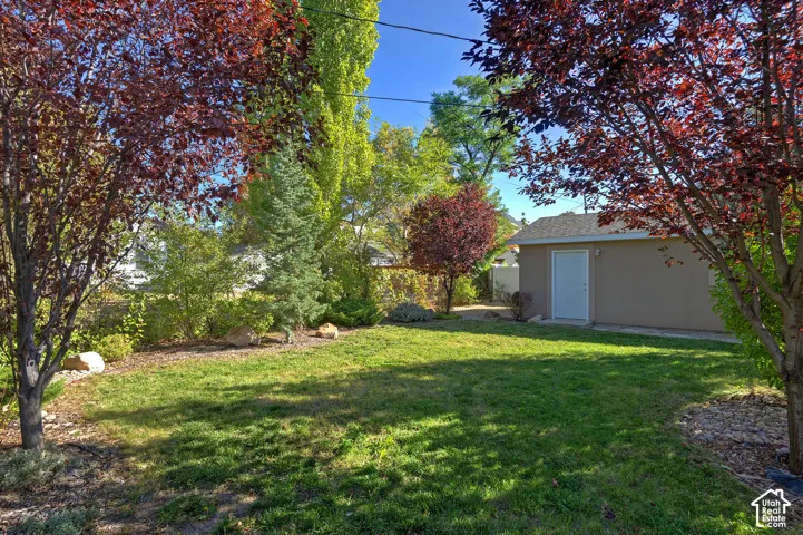 Expansive lawn area, surrounded by mature trees, privacy landscaping, and a detached structure with a white entry door