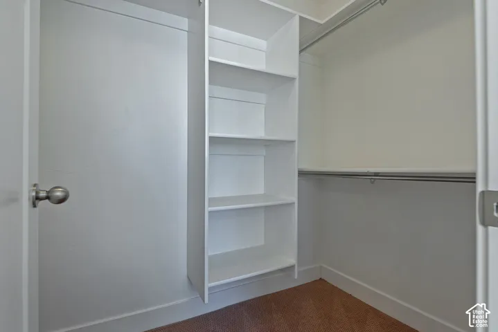 Built-in shelving unit, metal closet rod, white painted interior, and carpeted flooring