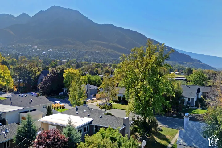 Mountain backdrop with residential properties and mature trees