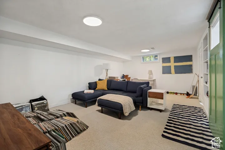 Recessed lighting, light-toned carpeting, and a built-in shelving unit with a sliding barn door
