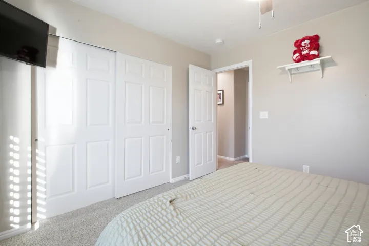 Carpeted flooring, white six-panel closet doors, ceiling fan, and painted walls