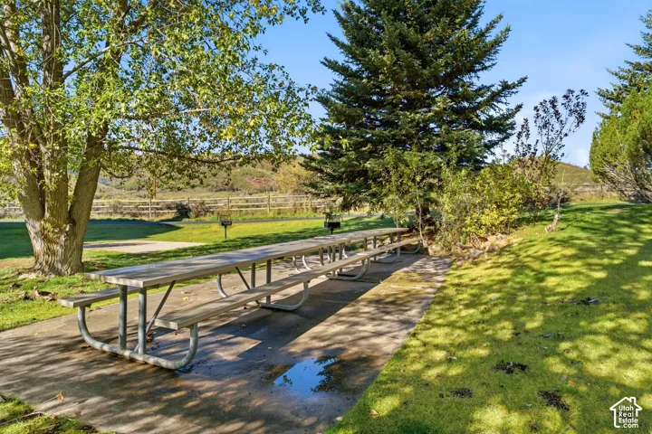 Expansive green space featuring mature trees, a long picnic table, and a paved walkway