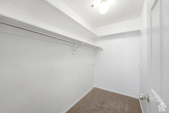 Integrated shelving, hanging rod, neutral-toned carpeting, and overhead lighting