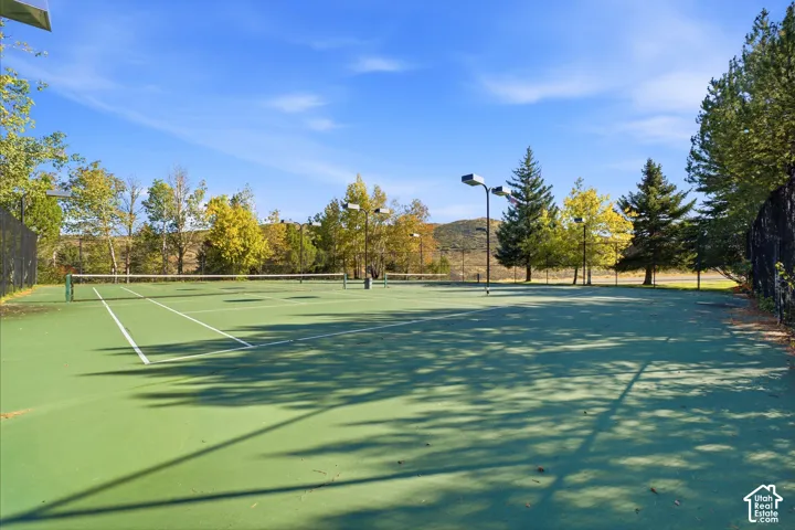 Tennis court with a green surface, white court lines, and a dark net