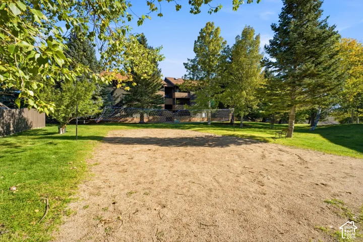 Outdoor recreation area featuring a sand court with a net, expansive green lawn, and mature trees