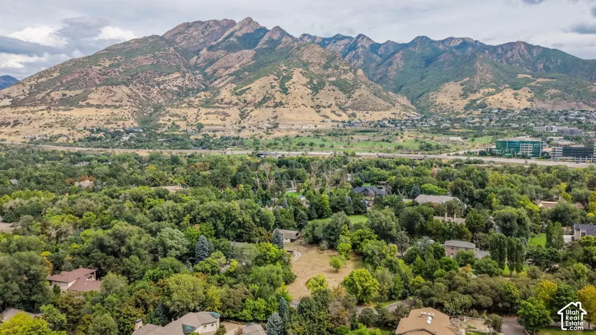 Expansive neighborhood surrounded by mature trees and mountain scenery