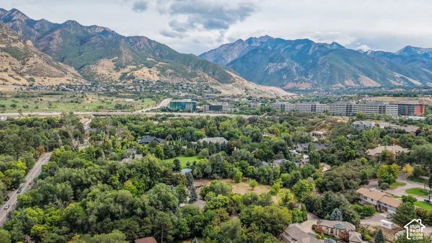 Mountain backdrop and lush green tree canopy