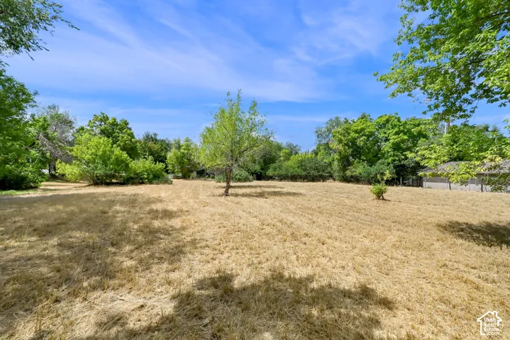 Expansive open land with mature tree coverage