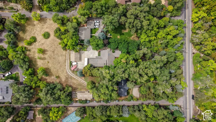 Expansive property featuring mature trees, a broad street frontage, and a substantial residential structure