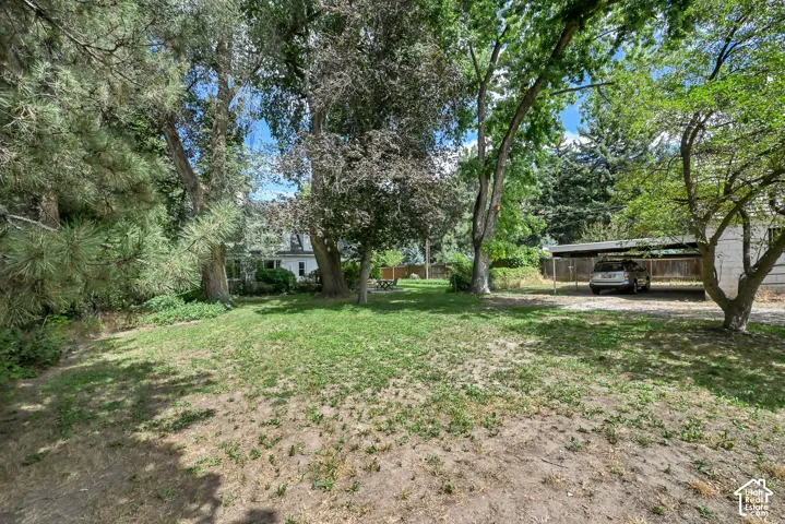 Expansive grassy yard with mature trees and a shaded carport structure