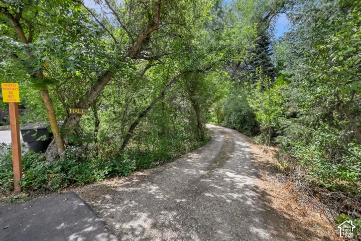 Gravel driveway surrounded by mature trees and lush foliage