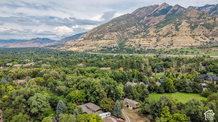 Mountain landscape with extensive tree canopy and scattered residential properties