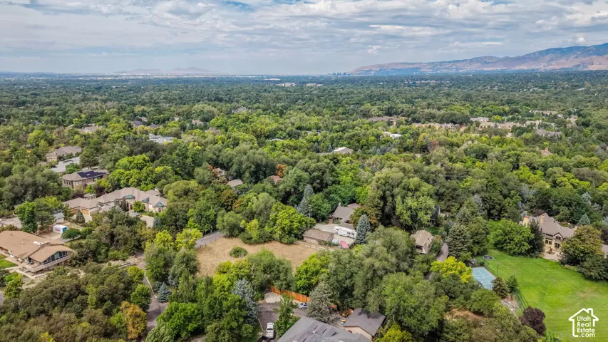 Expansive tree canopy with established residential properties and distant mountain range