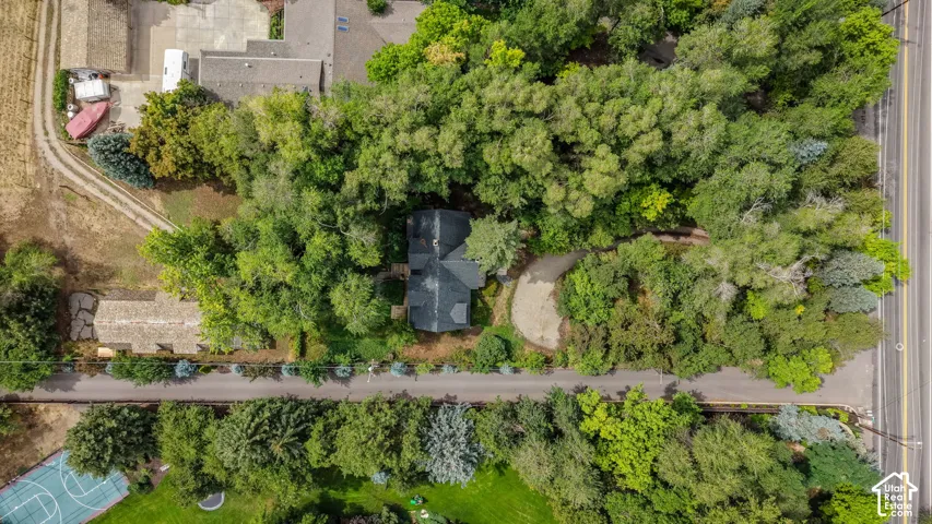 Secluded property featuring abundant mature trees, a private driveway, and a dark shingle roof