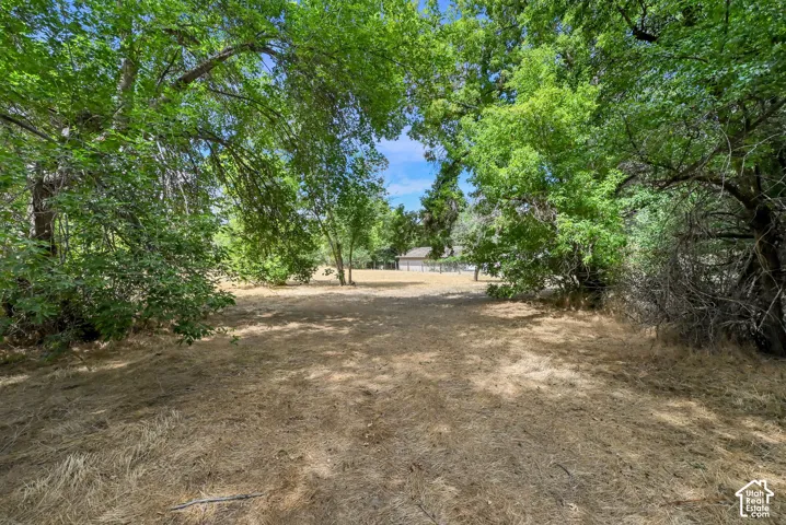 Expansive lot featuring mature trees and natural landscaping