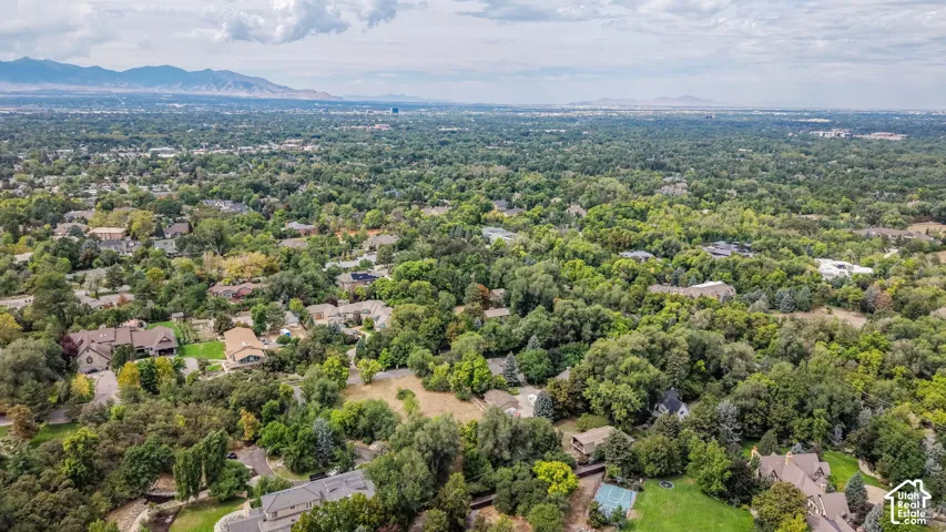 Expansive residential area with numerous mature trees, distant mountains, and a large body of water