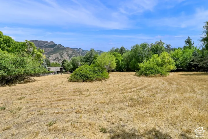 Expansive open field with scattered green foliage and distant mountain backdrop