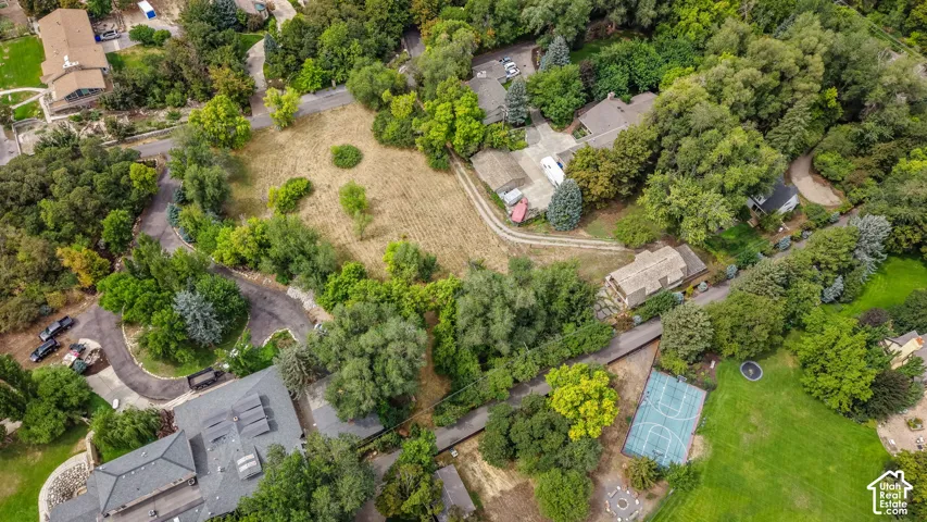 Expansive property featuring mature trees, paved driveways, a dedicated sports court, and a large grassy area