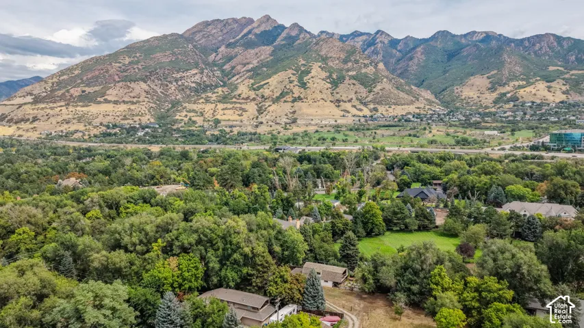 Expansive natural scenery featuring mountainous terrain and dense tree coverage