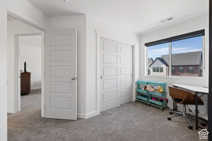 Plush grey carpeting, white interior doors, and a large window with roller shades