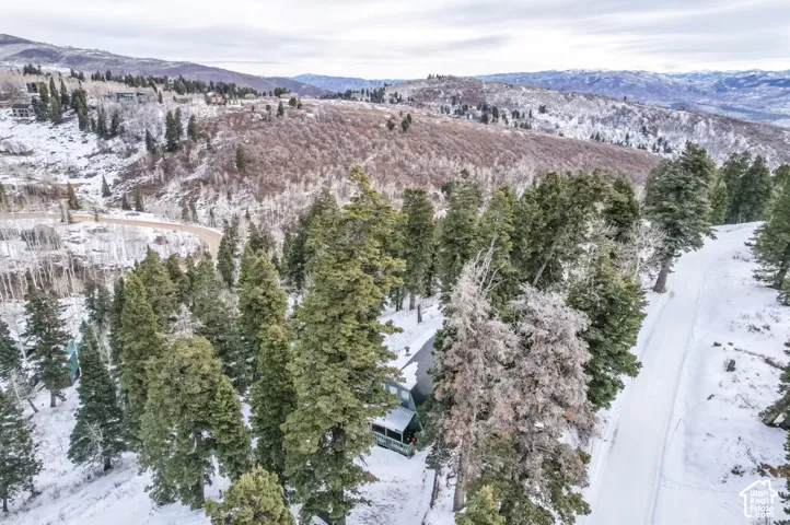 Sloping lot with extensive tree coverage and a partially visible residential structure