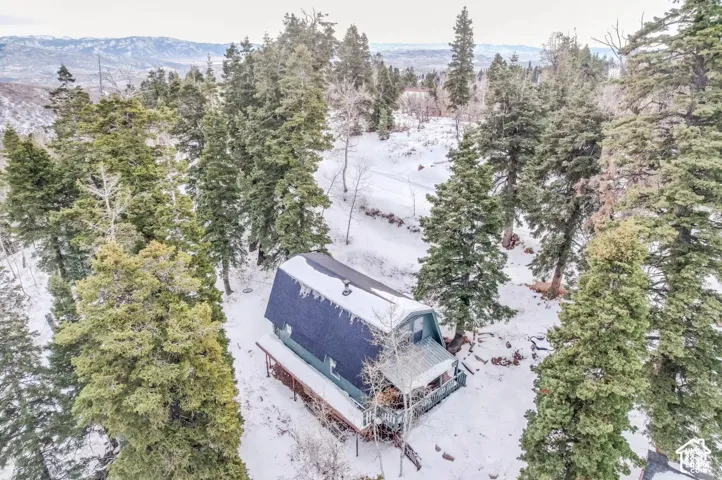 Gabled roof structure with a covered porch, set among mature evergreen trees and a snow-covered landscape