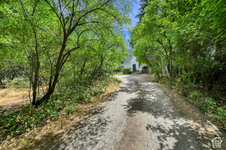 Gravel driveway with mature trees and a traditional-style residence