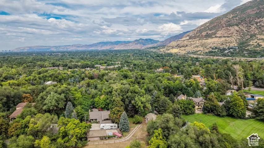 Expansive mountain backdrop with a lush, tree-lined landscape