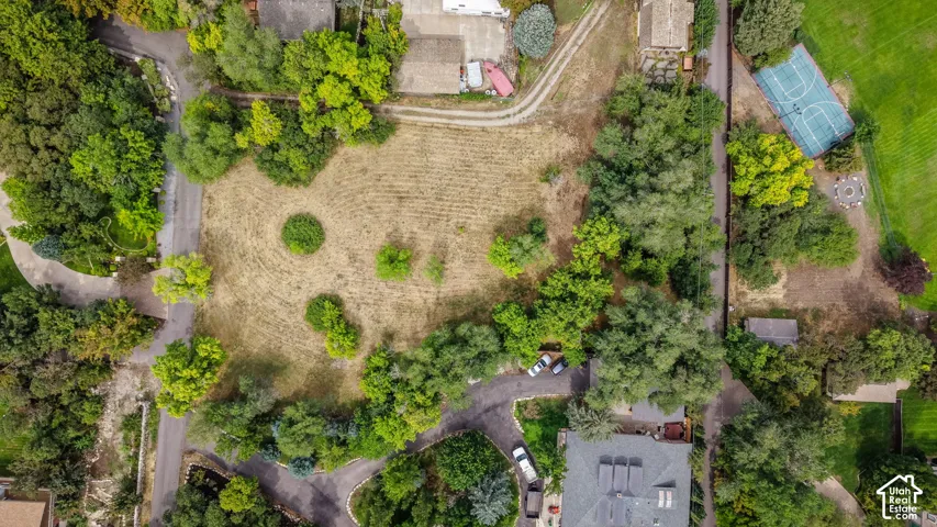 Expansive lot featuring a large open area, mature trees, and paved and unpaved roads