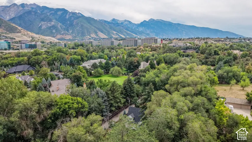 Expansive green landscape with mature trees and mountain backdrop